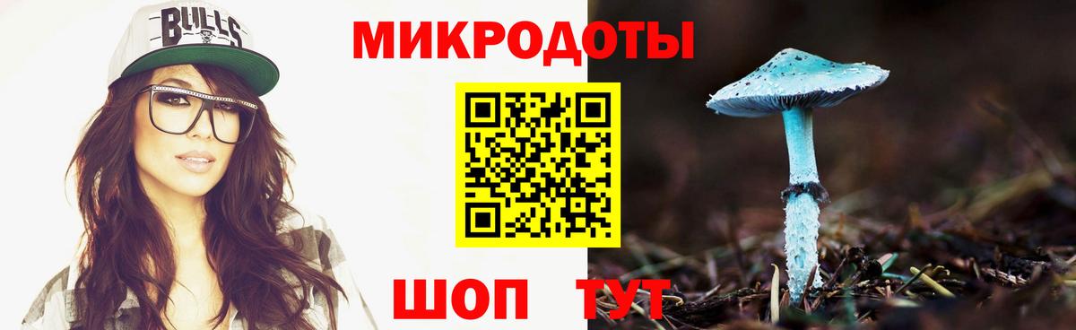 Комсомольск-на-Амуре  Галлюциногенные грибы GOLDEN TEACHER  Вход с VPN  где купить наркоту  Галлюциногенные грибы GOLDEN TEACHER 